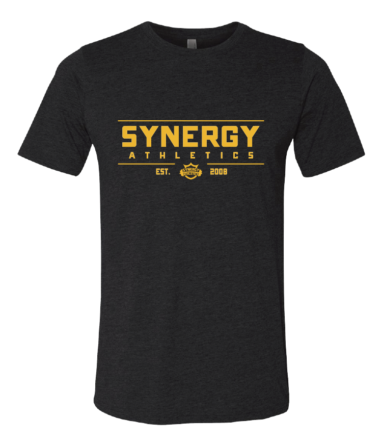 Synergy Polo T-Shirt – Premium Comfort, Sleek Design, Perfect Fit